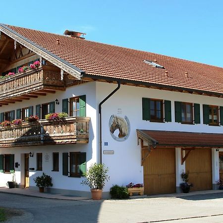 Ferienwohnung Erhard Schonberg  外观 照片